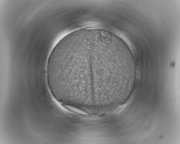 X0000093621487200711121224