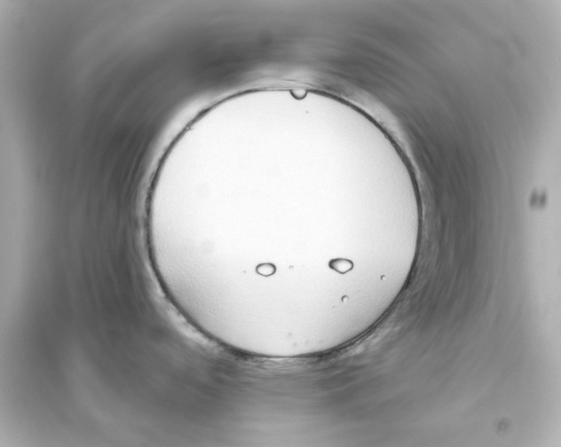 X0000093621488200711121224