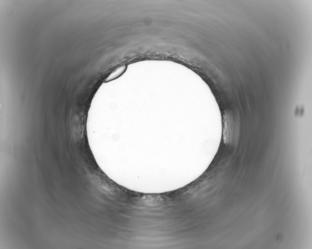 X0000093621491200711121223