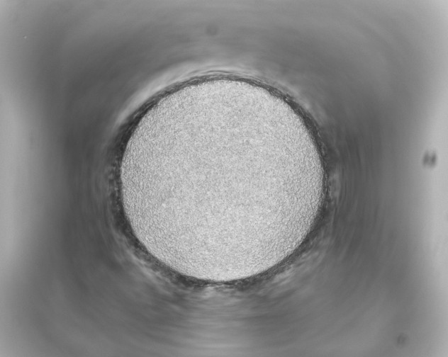 X0000093621496200711121223