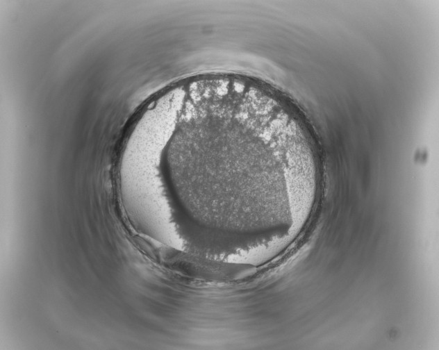 X0000093621497200711121223