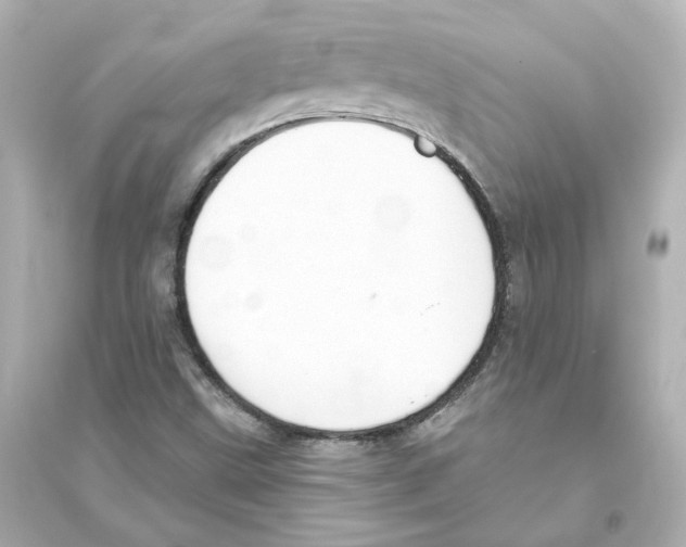 X0000093621499200711121223