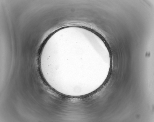 X0000093621501200711121223