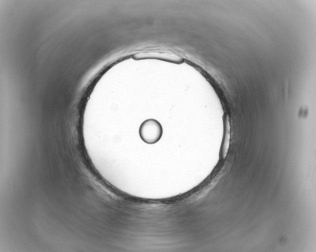 X0000093621502200711121223