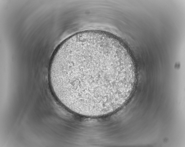 X0000093621505200711121223