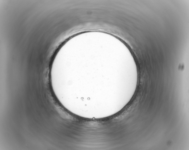 X0000093621507200711121223