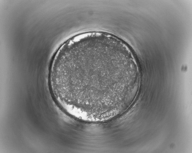 X0000093621508200711121224