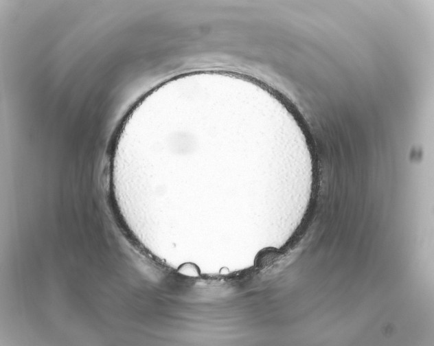 X0000093621509200711121224