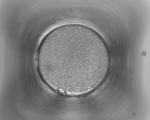 X0000093621510200711121224