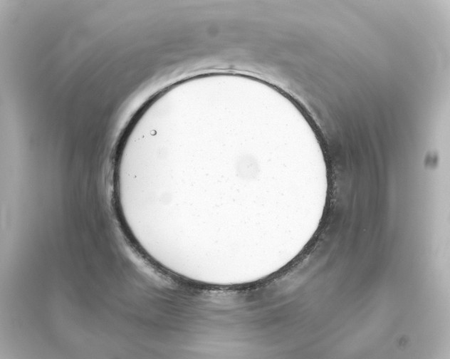 X0000093621511200711121224