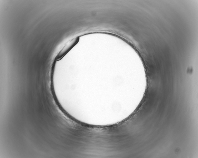 X0000093621512200711121224