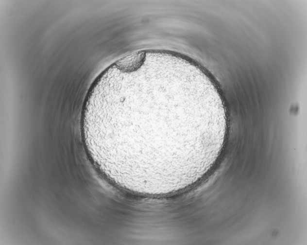 X0000093621513200711121224