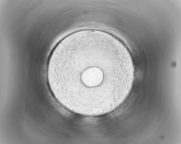 X0000093621514200711121224