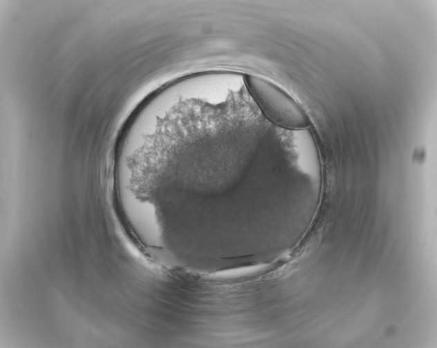 X0000093621515200711121224