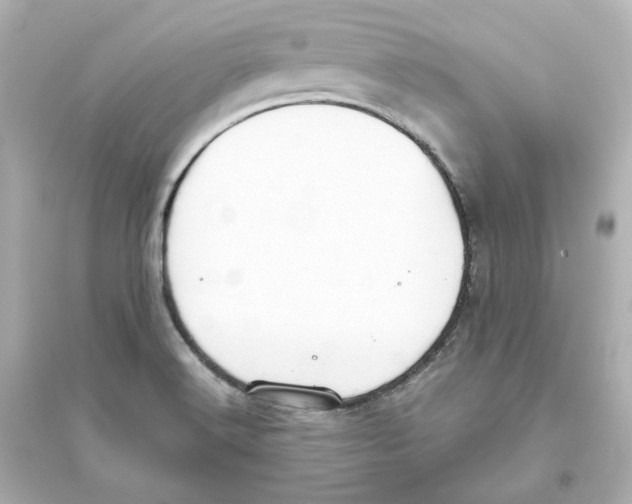 X0000093621516200711121224