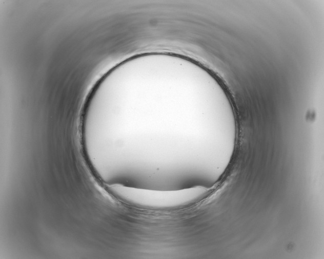 X0000093621517200711121224