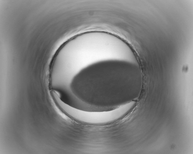 X0000093621519200711121224