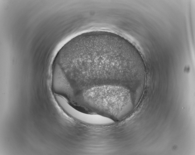 X0000093621520200711121224