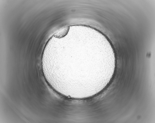 X0000093621521200711121224