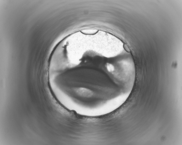 X0000093621522200711121224