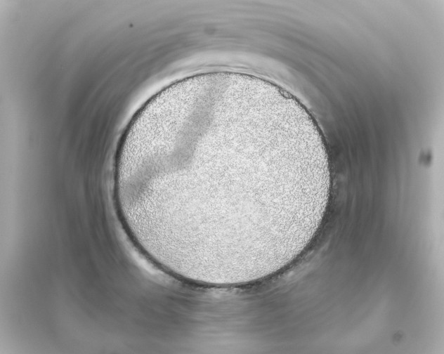 X0000093621523200711121224