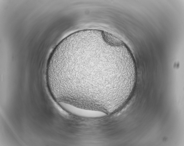 X0000093621525200711121224