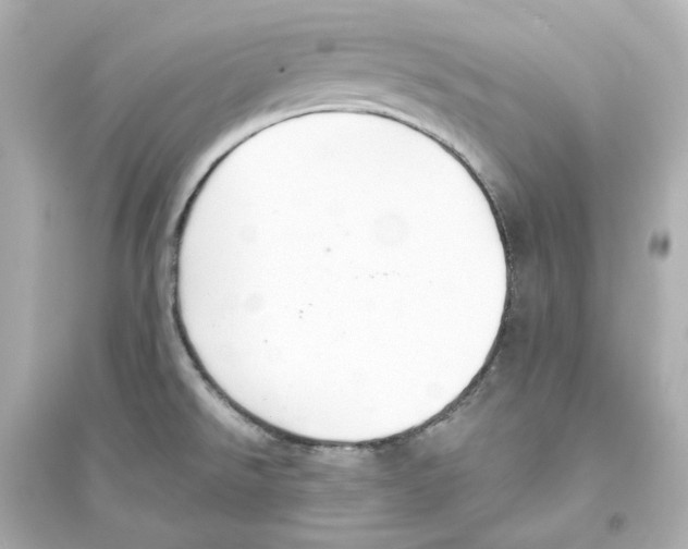 X0000093621526200711121224