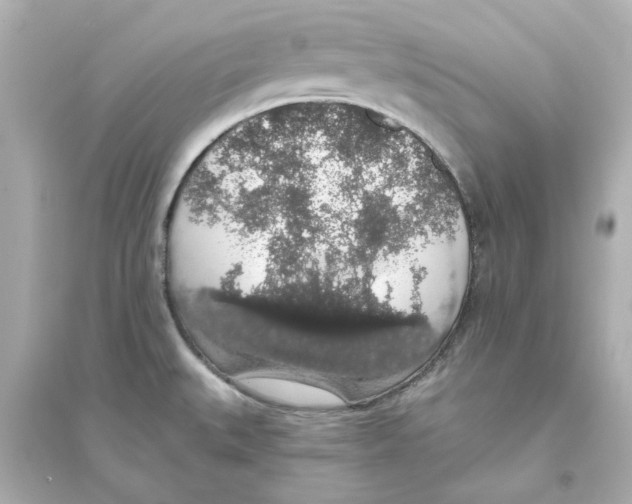 X0000093621527200711121224