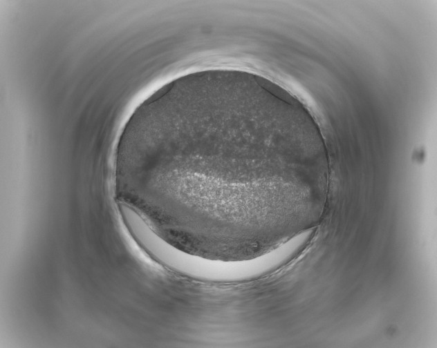 X0000093621528200711121224