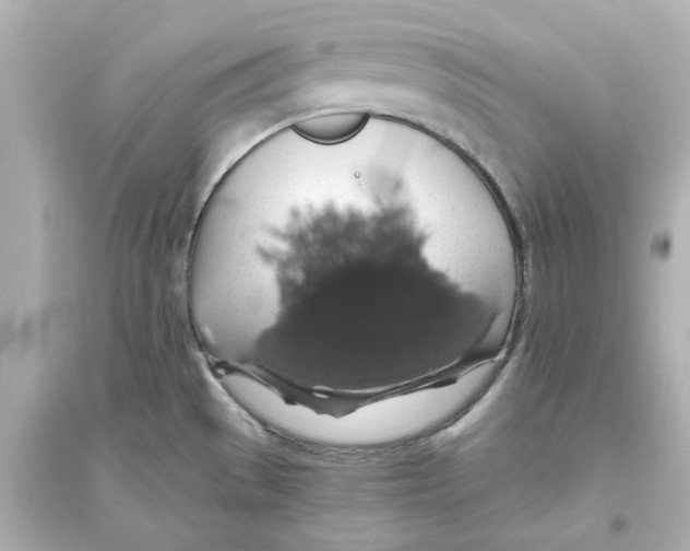 X0000093621529200711121224