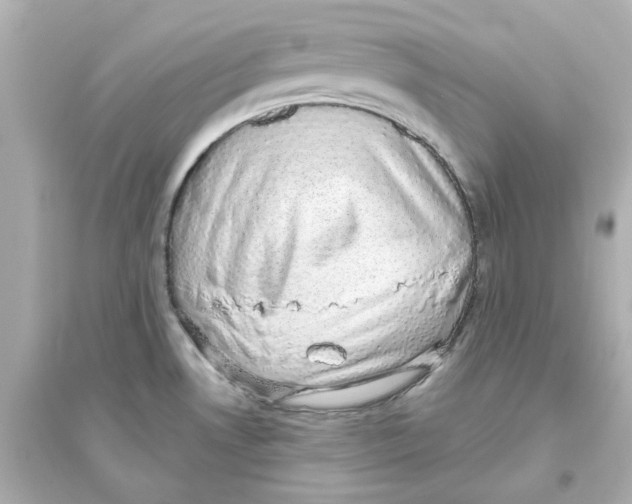 X0000093621530200711121224