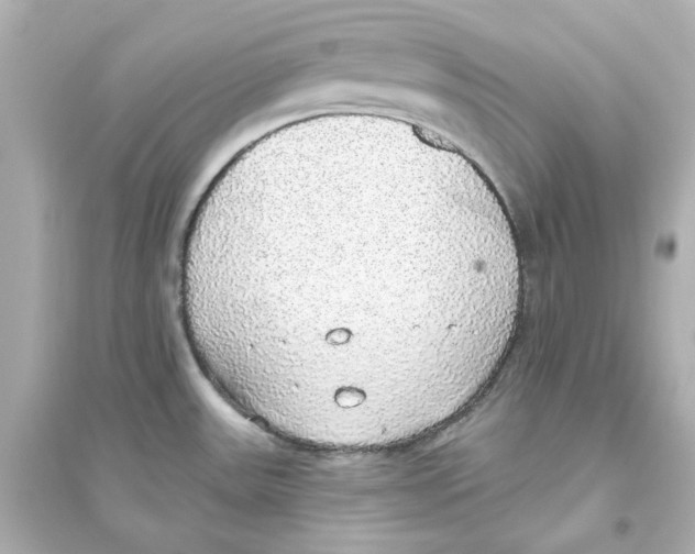 X0000093621531200711121224