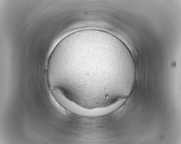 X0000093621532200711121224