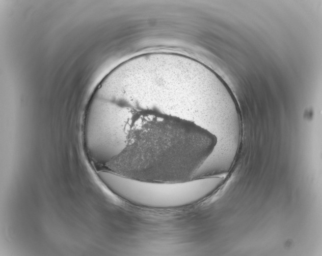 X0000093621533200711121224