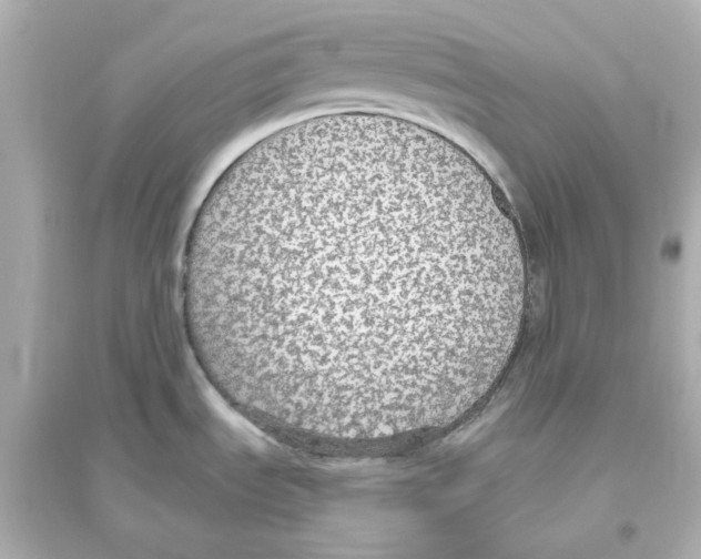 X0000093621535200711121224