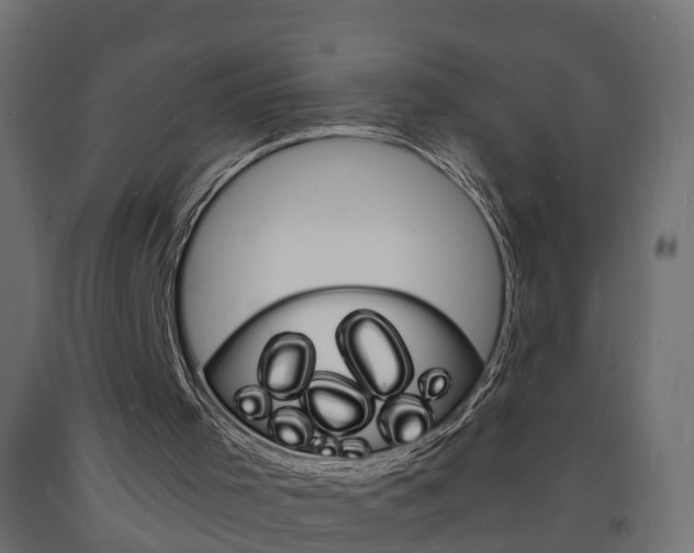 X0000093720001200710160801
