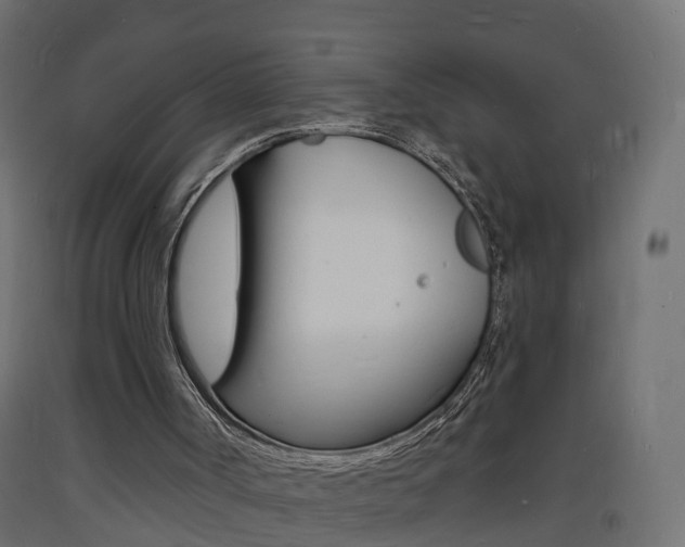 X0000093720002200710160801