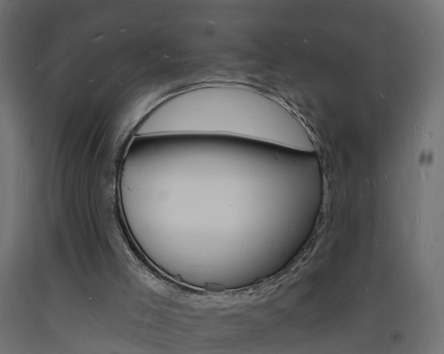 X0000093720005200710160801