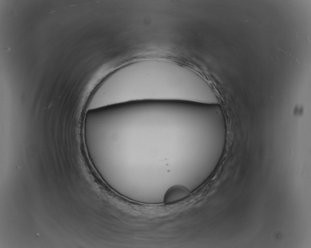 X0000093720006200710160801