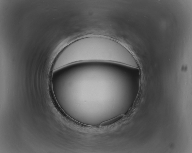 X0000093720007200710160801