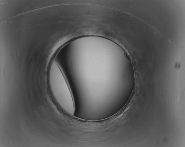 X0000093720008200710160801
