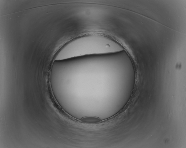 X0000093720010200710160801