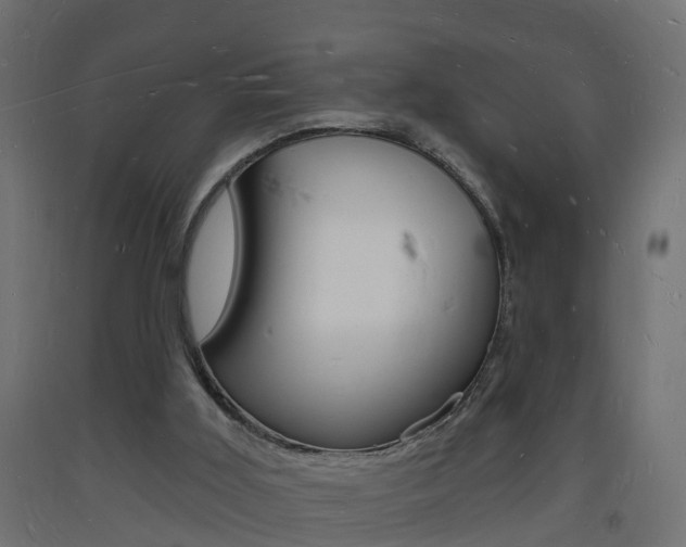 X0000093720011200710160801