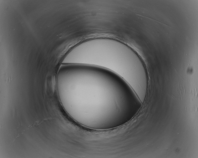 X0000093720013200710160801