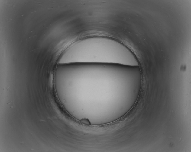 X0000093720014200710160801
