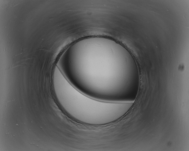 X0000093720015200710160801
