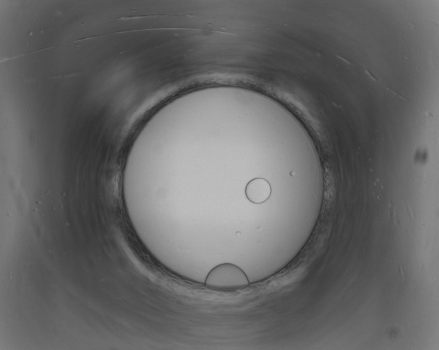 X0000093720016200710160801