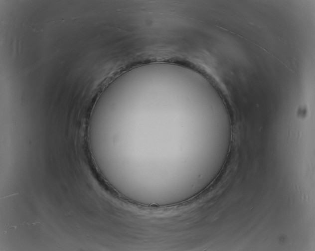 X0000093720018200710160801