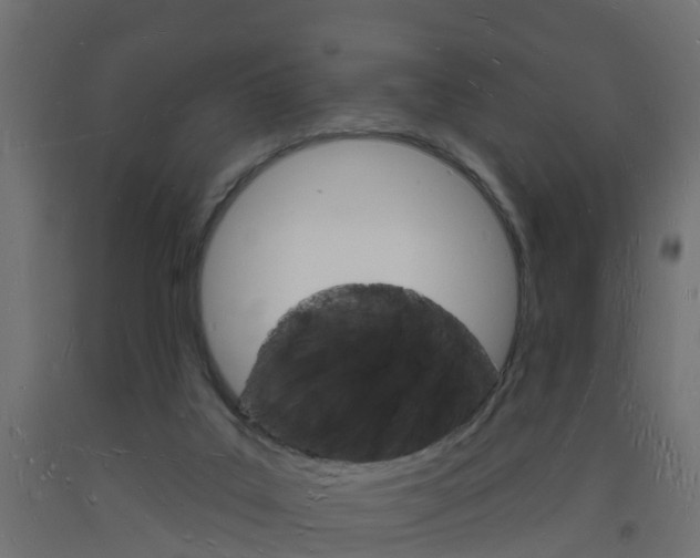 X0000093720019200710160801