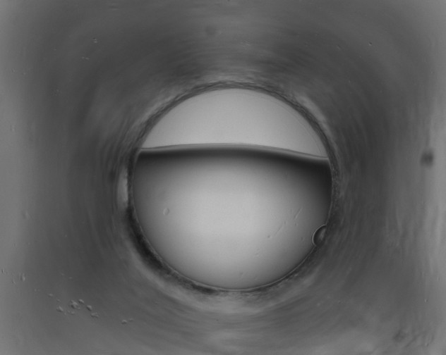 X0000093720020200710160801